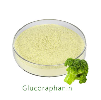 萝卜硫苷主要应用于医疗卫生领域