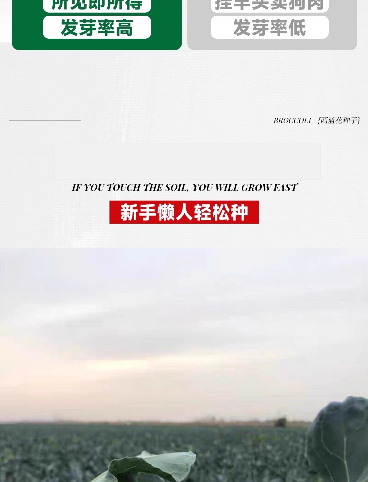 O1CN01hao3os2HV33o6HqS8_!!2219775029155.jpg