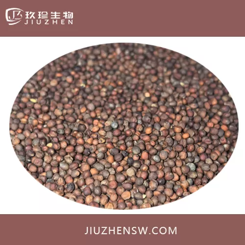 提取物西兰花种子